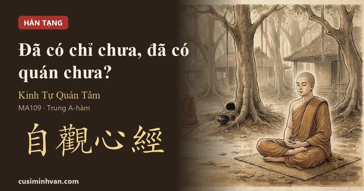 Một vị Tỳ-kheo ngồi kiết già trên chiếu dưới gốc cây cổ thụ ở rừng Thắng Lâm, mắt khép hờ, lặng lẽ xét tâm mình — Kinh Tự Quán Tâm, Trung A-hàm 109