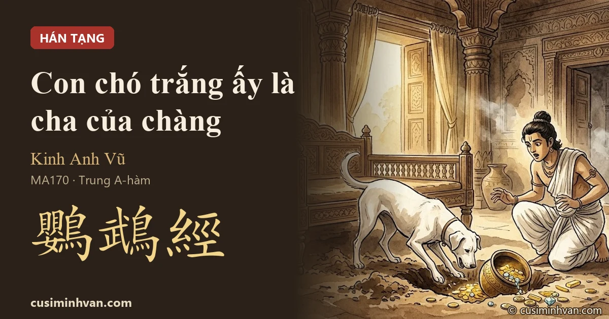 MA170 - Kinh Anh Vũ (Trung A-hàm 170, tương đương MN135)