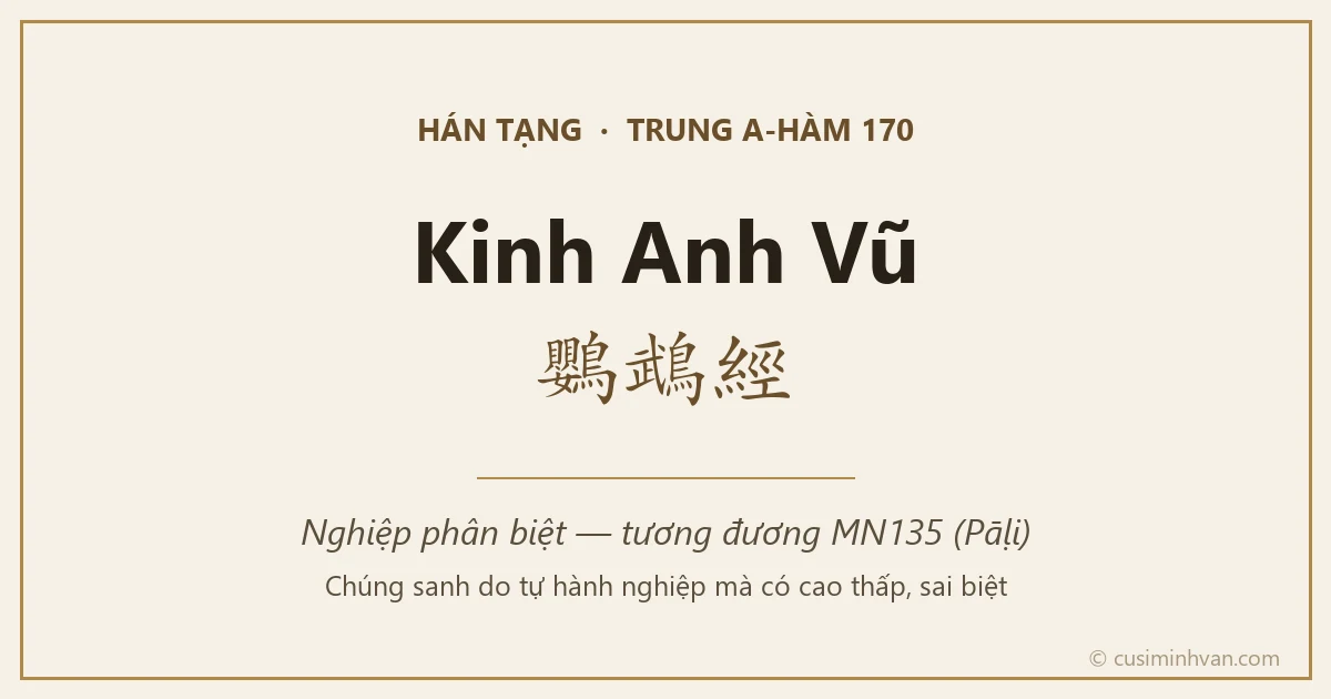 Kinh Anh Vũ — Trung A-hàm 170, bản Hán tạng tương đương MN135