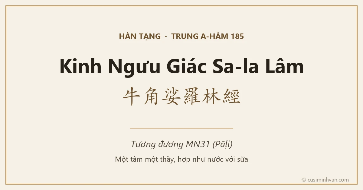 Kinh Ngưu Giác Sa-la Lâm — Trung A-hàm 185, bản Hán tạng tương đương MN31