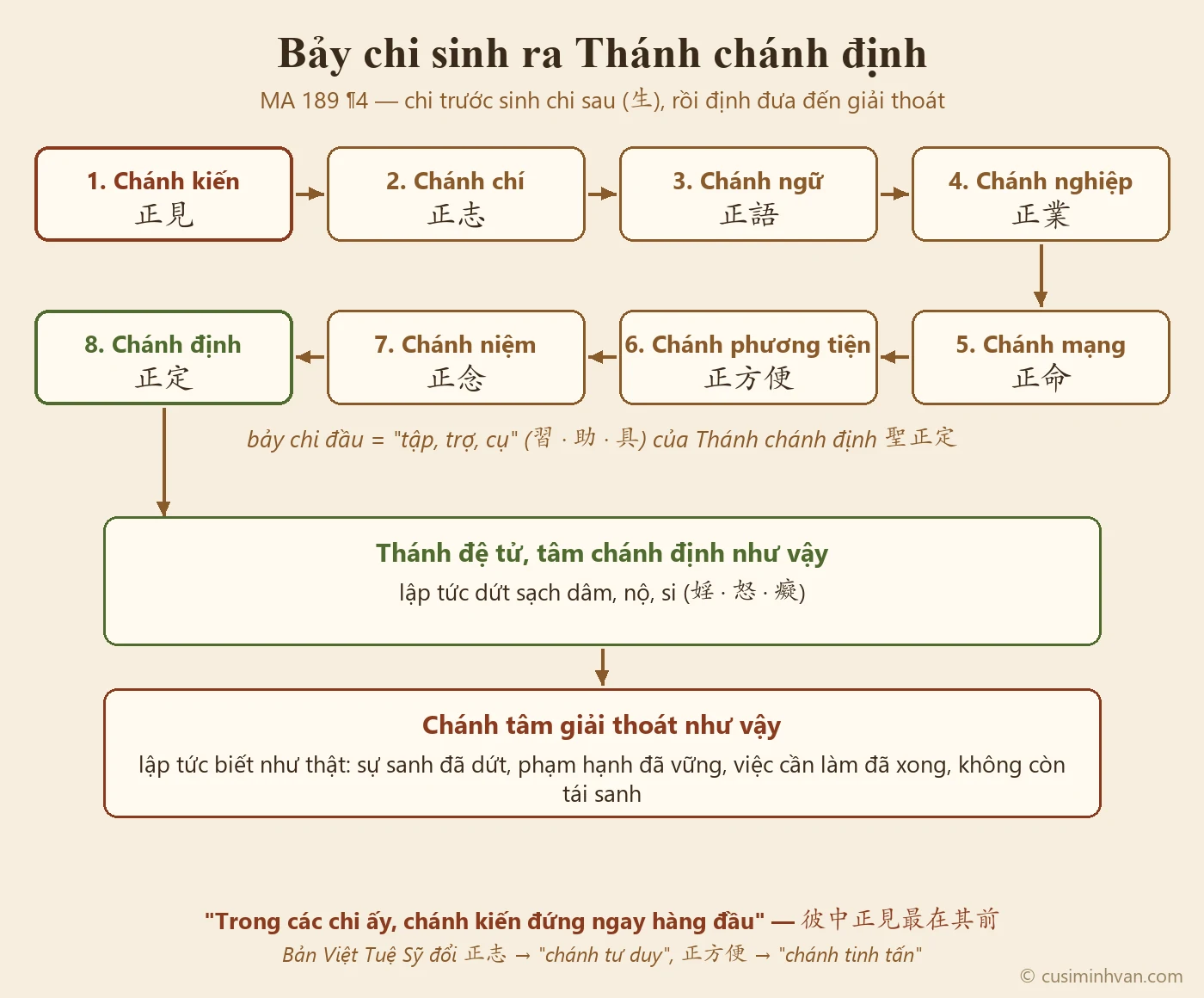 Sơ đồ chuỗi sinh khởi trong MA189: chánh kiến, chánh chí, chánh ngữ, chánh nghiệp, chánh mạng, chánh phương tiện, chánh niệm, chánh định nối nhau; rồi Thánh đệ tử dứt dâm nộ si, chánh tâm giải thoát, biết sự sanh đã dứt