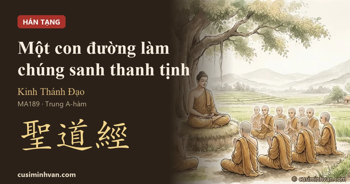 MA189 - Kinh Thánh Đạo (Trung A-hàm 189, tương đương MN117)