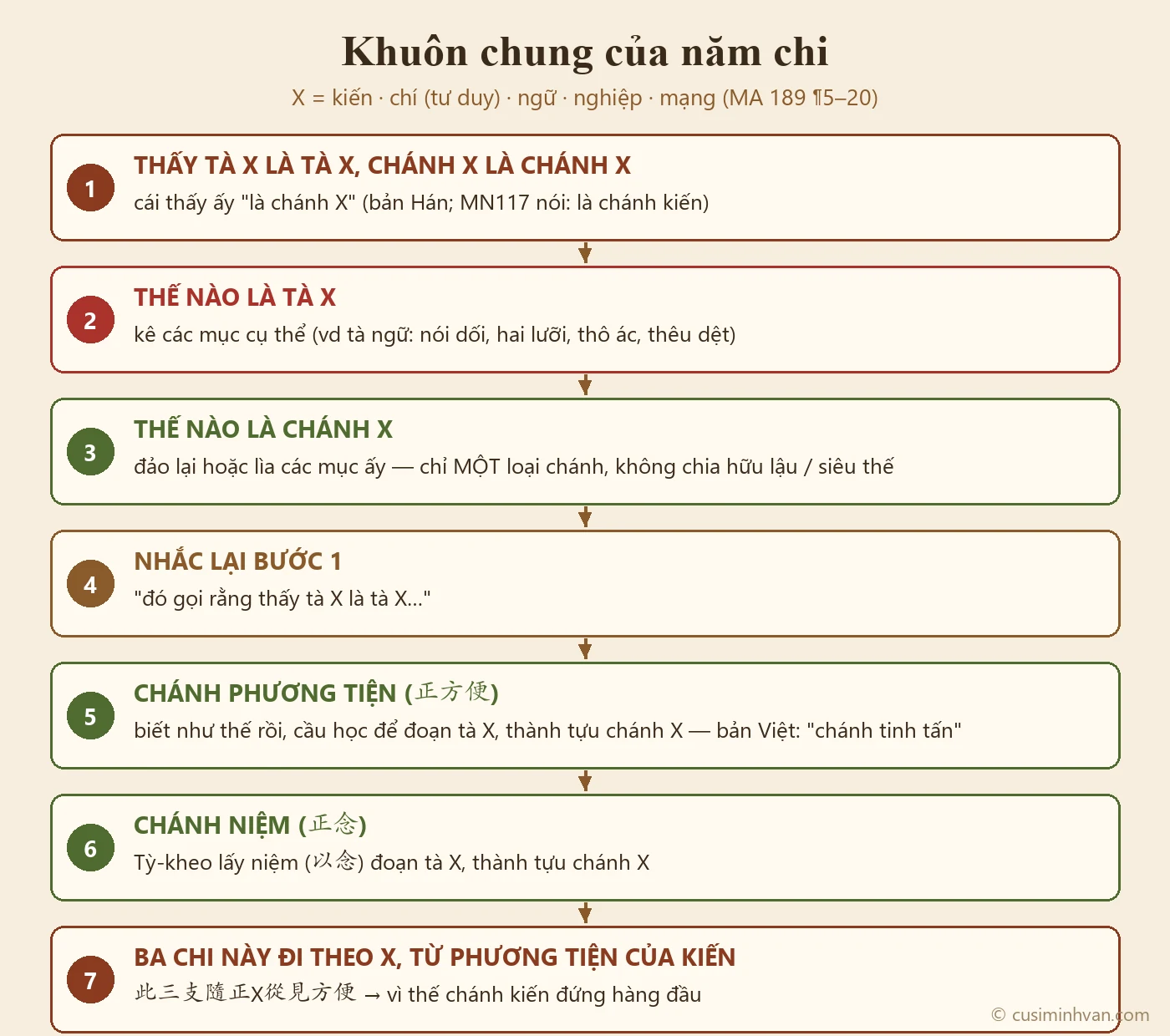 Sơ đồ khuôn chung của năm chi trong MA189: thấy tà là tà chánh là chánh, thế nào là tà, thế nào là chánh, nhắc lại, chánh phương tiện, chánh niệm, ba chi đi theo chi ấy từ phương tiện của kiến