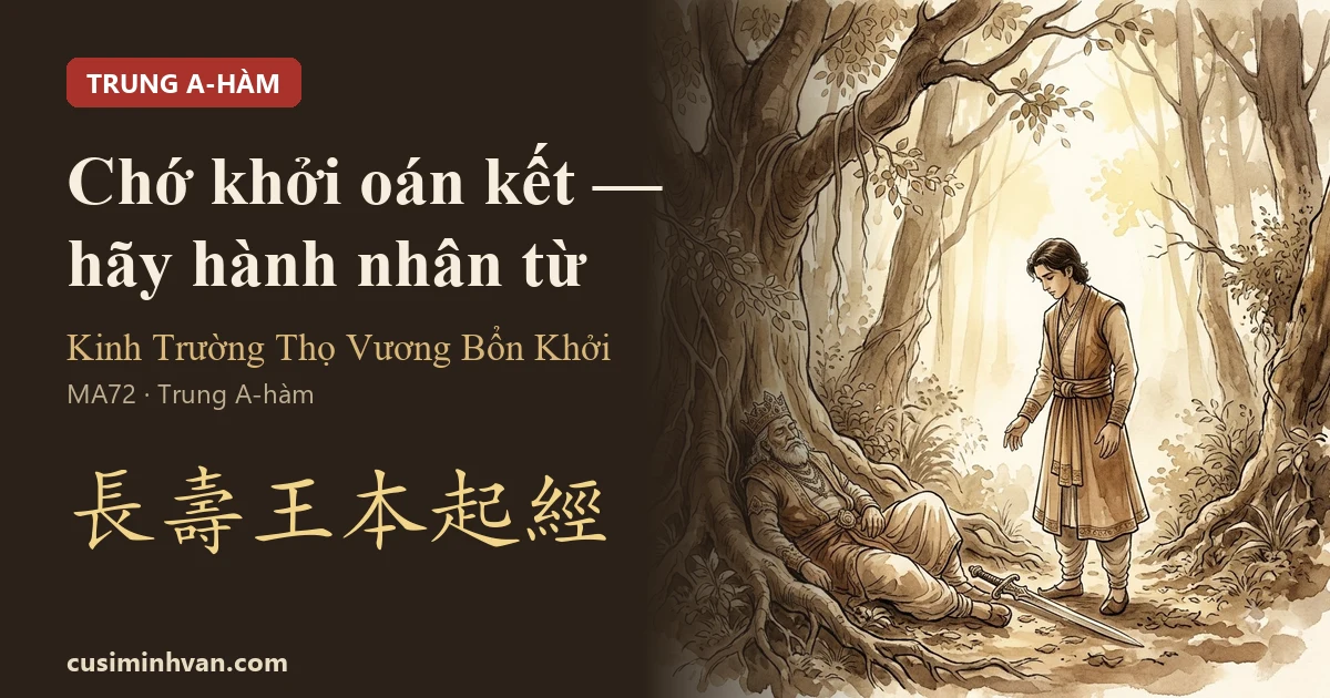 MA72 — Kinh Trường Thọ Vương Bổn Khởi (Trung A-hàm 72, tương đương MN128)