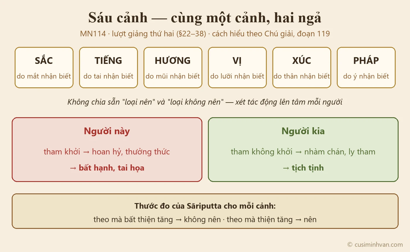 Sơ đồ sáu cảnh trong MN114: sắc do mắt, tiếng do tai, hương do mũi, vị do lưỡi, xúc do thân, pháp do ý — cùng một cảnh, nơi người này làm tham khởi đưa đến bất hạnh, nơi người kia đưa đến nhàm chán, ly tham, tịch tịnh (theo Chú giải)
