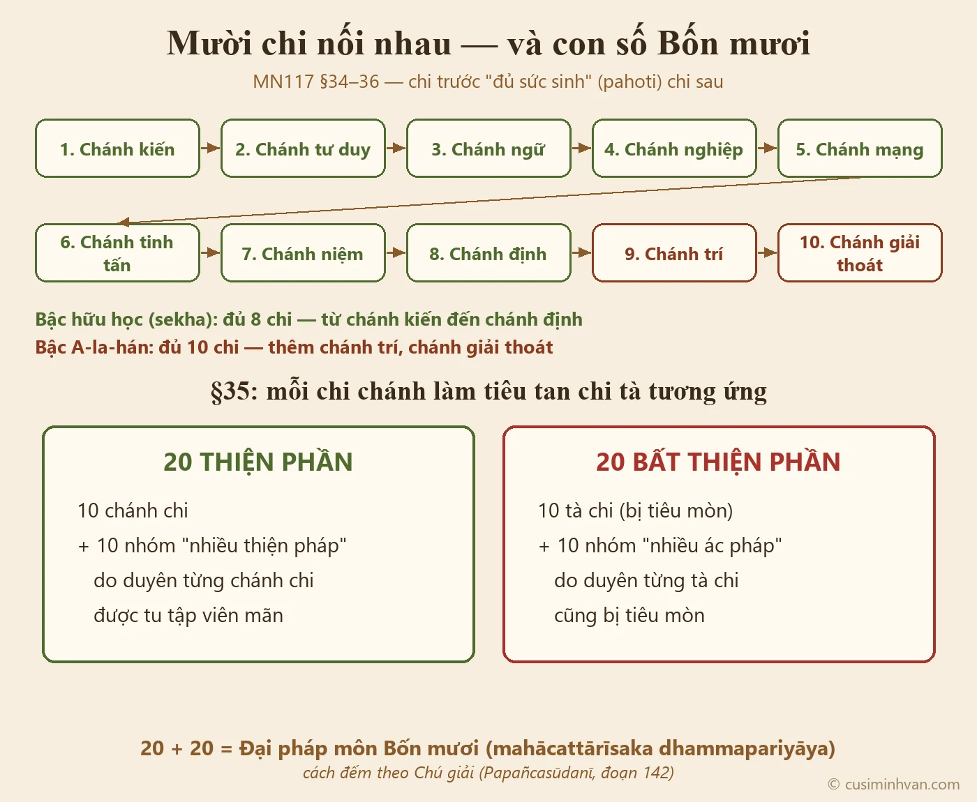 Sơ đồ chuỗi mười chi và bốn mươi phần trong MN117: chánh kiến sinh chánh tư duy cho đến chánh trí, chánh giải thoát; mười chánh chi và mười nhóm thiện pháp là hai mươi thiện phần, mười tà chi và mười nhóm ác pháp là hai mươi bất thiện phần