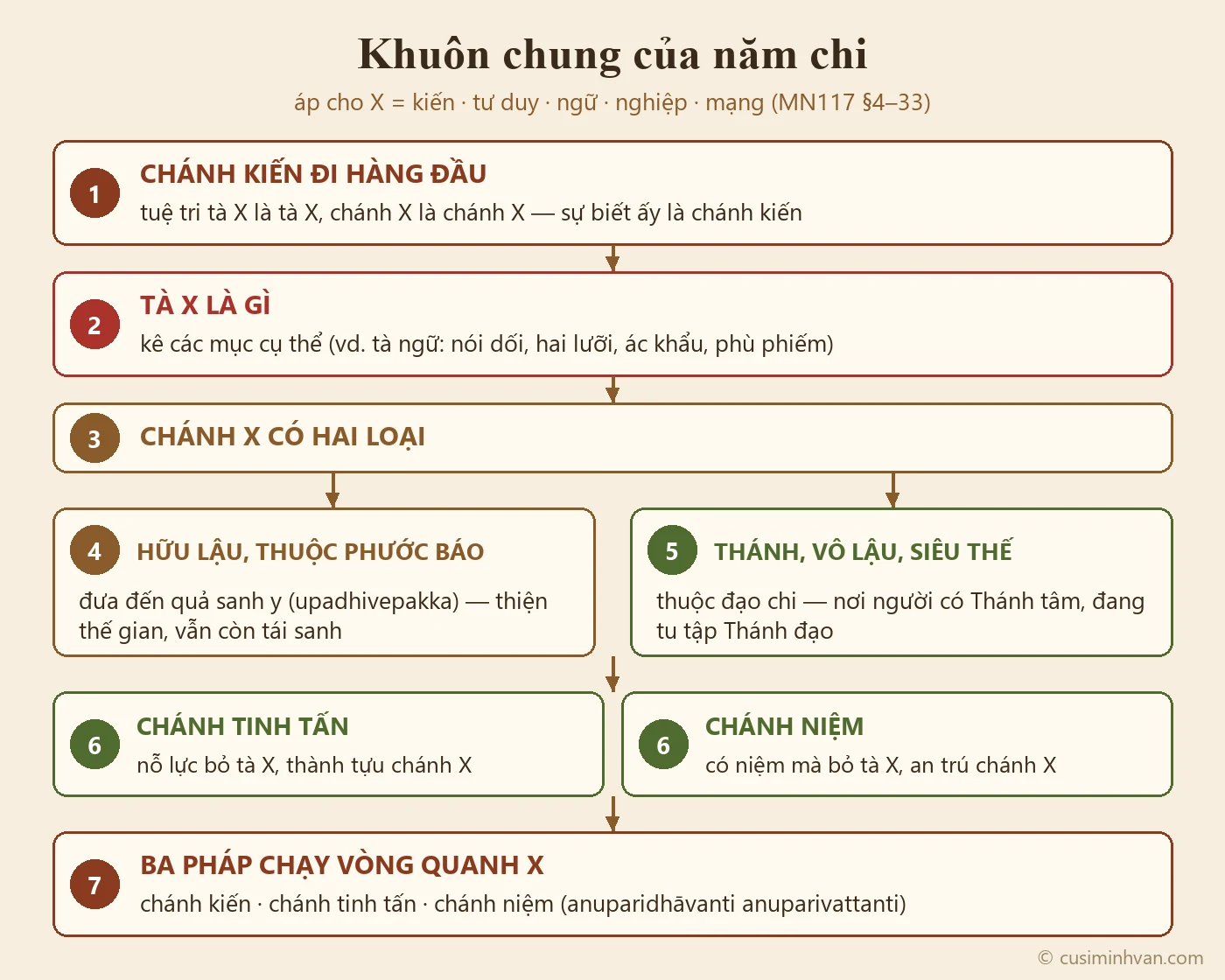 Sơ đồ khuôn chung của năm chi trong MN117: chánh kiến tuệ tri tà và chánh, tà là gì, chánh có hai loại hữu lậu và siêu thế, chánh tinh tấn và chánh niệm, ba pháp chạy vòng quanh chi ấy