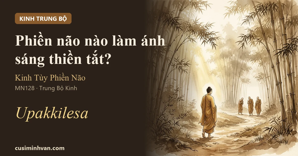 MN128 — Kinh Tùy Phiền Não (Upakkilesa Sutta)
