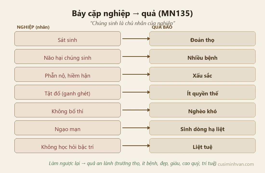 Bảy cặp nghiệp và quả trong MN135
