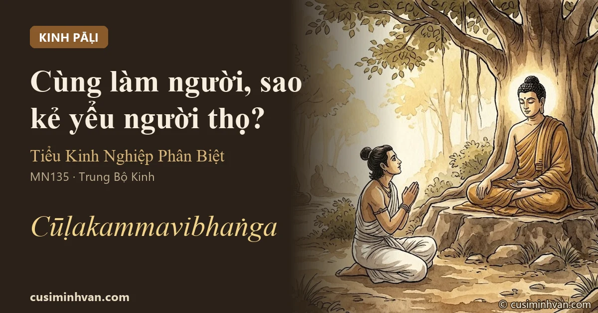 Thanh niên Subha ngồi hỏi Đức Phật trong rừng Kỳ-đà — Tiểu Kinh Nghiệp Phân Biệt, MN135