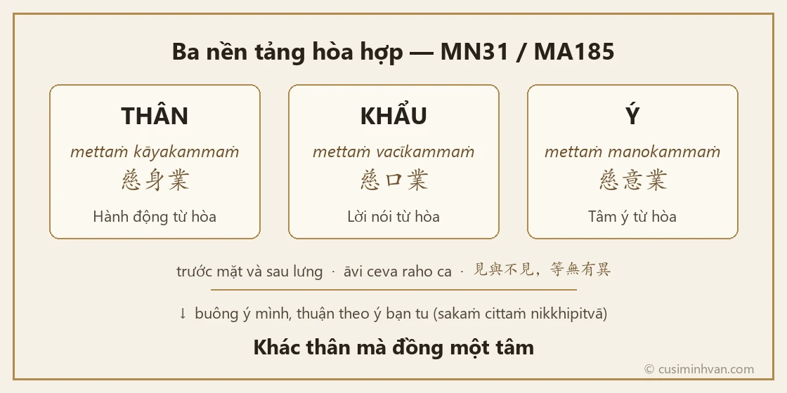 Ba nền tảng hòa hợp: thân – khẩu – ý từ hòa, trước mặt và sau lưng (MN31)