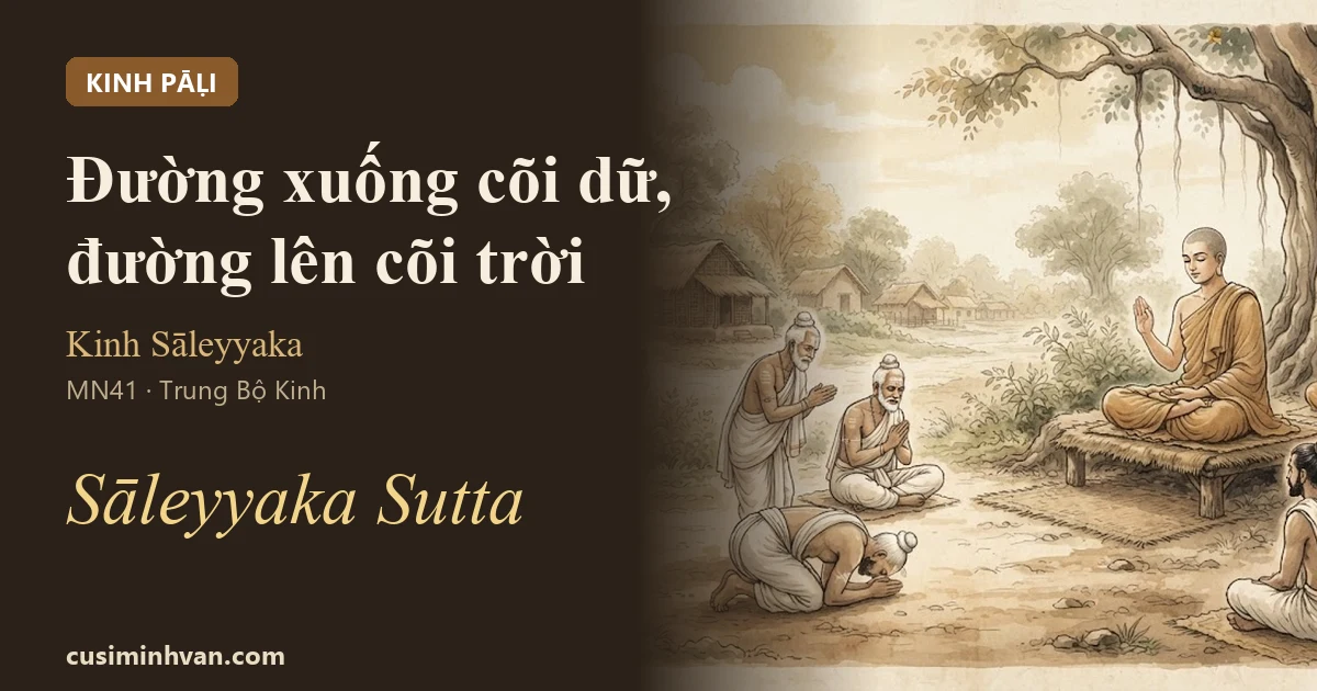 MN41 - Kinh Sāleyyaka (Sāleyyaka Sutta)