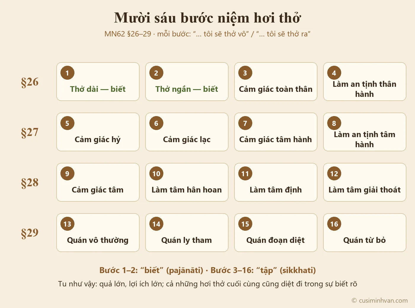 Sơ đồ mười sáu bước niệm hơi thở trong MN62, bốn đoạn mỗi đoạn bốn bước: dài, ngắn, toàn thân, an tịnh thân hành; hỷ, lạc, tâm hành, an tịnh tâm hành; tâm, làm tâm hân hoan, định tâm, giải thoát tâm; vô thường, ly tham, đoạn diệt, từ bỏ