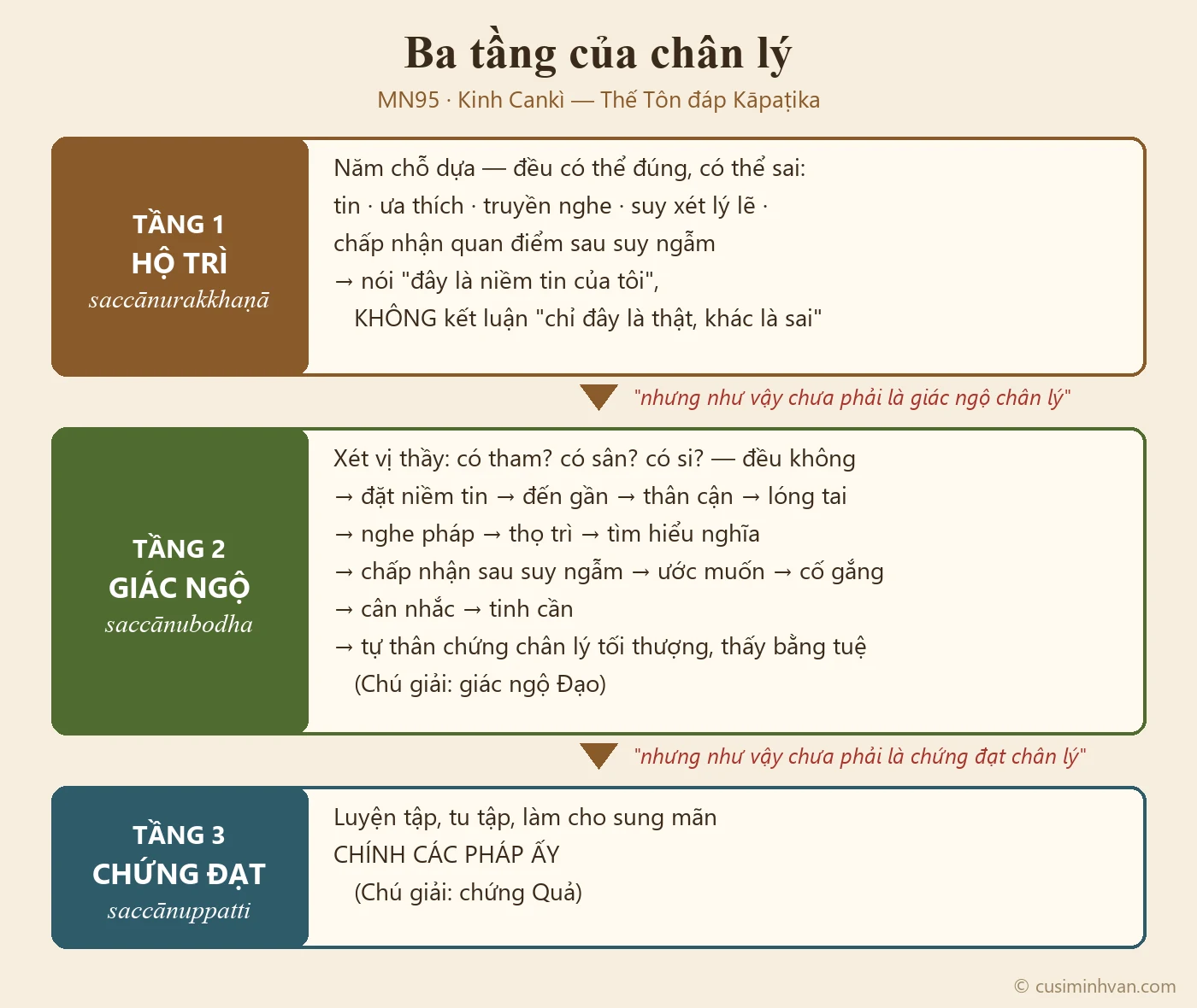 Sơ đồ ba tầng chân lý trong MN95: hộ trì chân lý (năm chỗ dựa, không kết luận một chiều) → giác ngộ chân lý (xét tham sân si, mười hai bước tới thấy bằng tuệ) → chứng đạt chân lý (lặp lại, tu tập chính các pháp ấy)